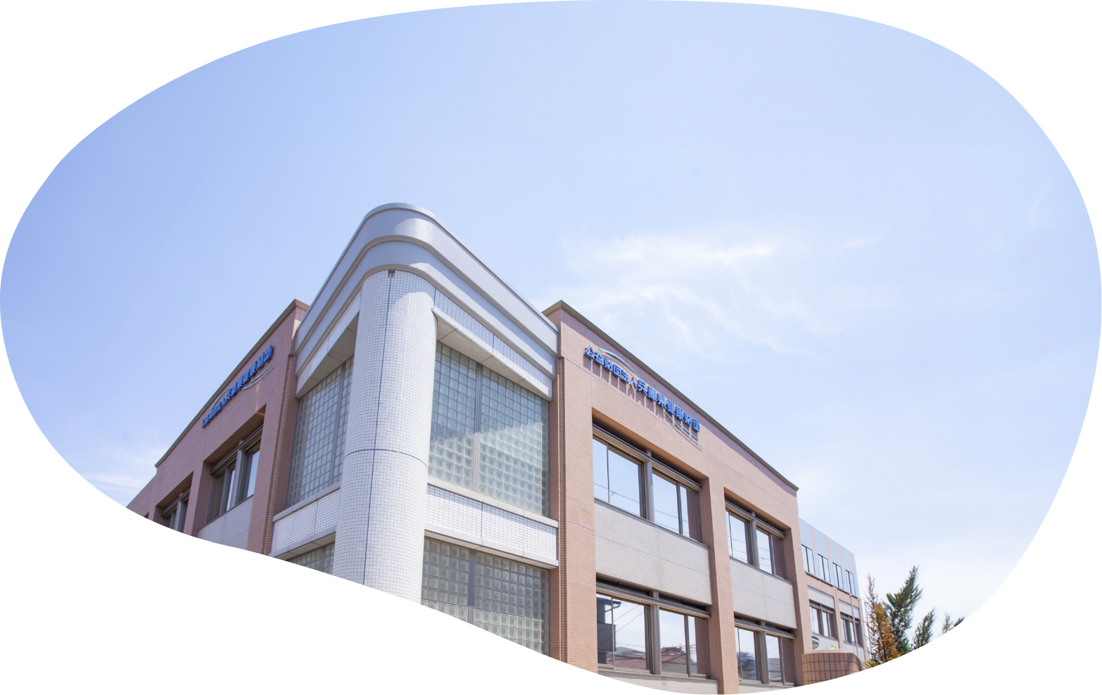 FVアクセント画像